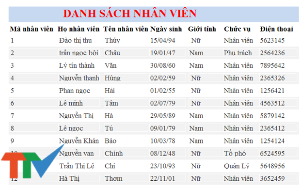 Thiết kế một Report trong Access