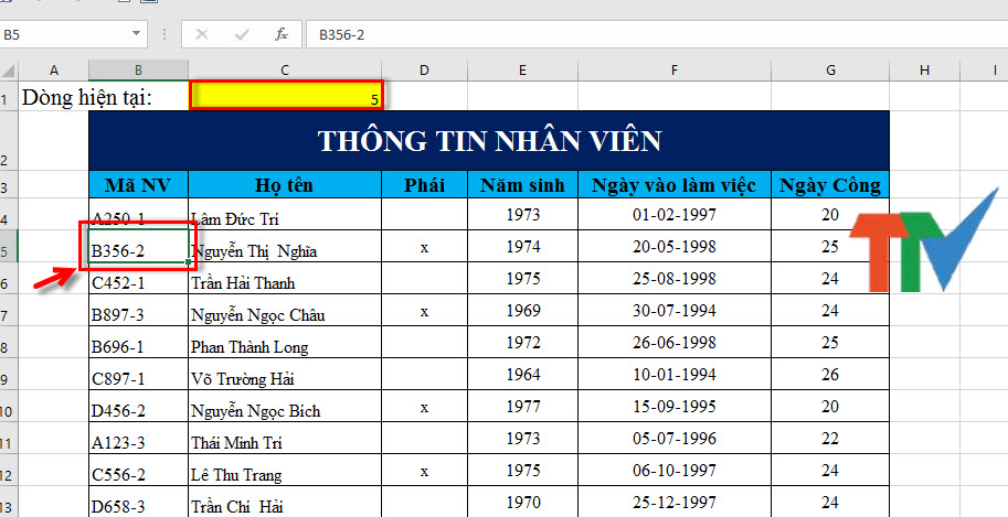 Tự Động Tô Màu Nguyên Dòng Khi Được Chọn Trong Excel